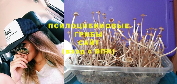 наркотики Богданович
