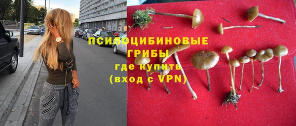 наркотики Богданович