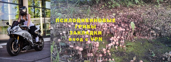 наркотики Богданович
