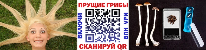 Галлюциногенные грибы ЛСД Белгород